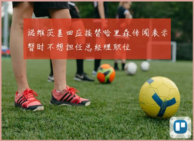 诺维茨基回应接替哈里森传闻表示暂时不想担任总经理职位