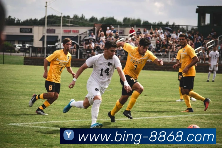 8868体育APP 封面图